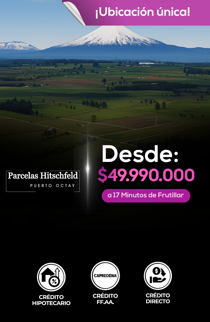 PORTADAS WEB CON PRECIO (2)